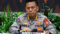 sikat lipu