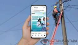 PLN